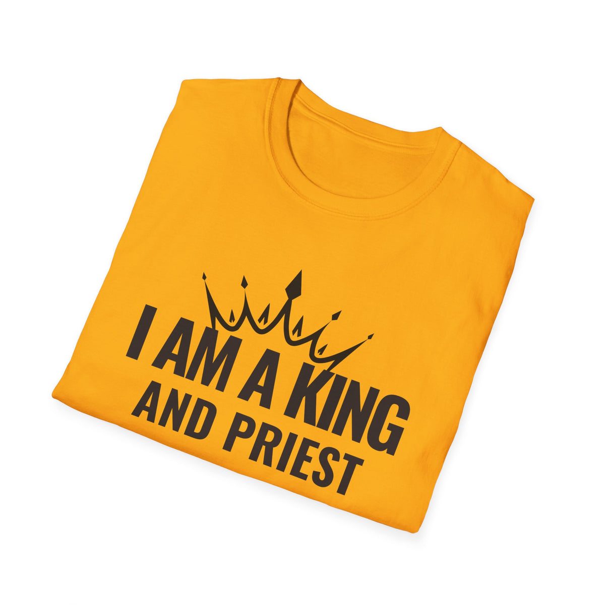 I Am A King And Priest Unisex Softstyle T-Shirt